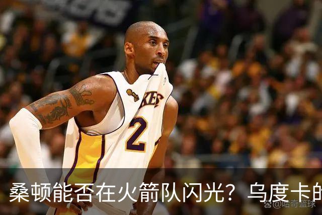 桑顿能否在火箭队闪光？乌度卡的信任是关键！