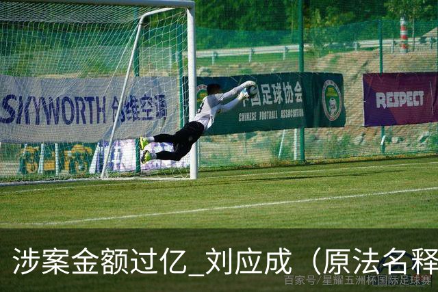 涉案金额过亿 刘应成（原法名释永信）一审被判有期徒刑24年